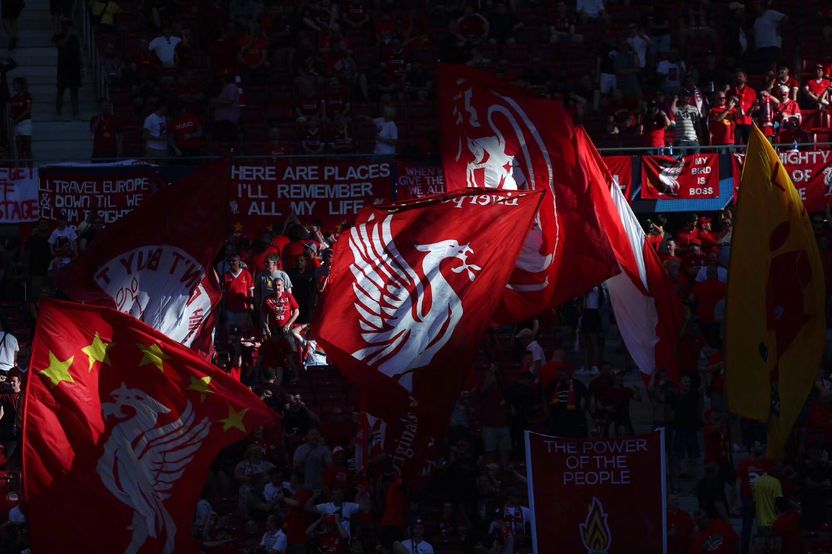 段瑾瑜搭档两匹爱驹摘夺四冠，广东马术联赛第九站完美收官！